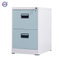 Steel vertical 2 drawer filing cabinet 